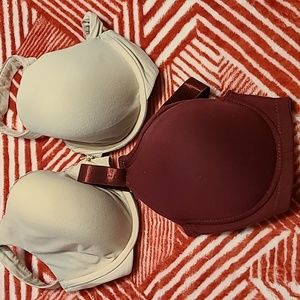 Paramour bra bundle 34 DD